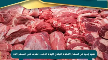 تغير جديد في أسعار اللحوم البلدي اليوم الأحد.. تعرف على السعر الآن